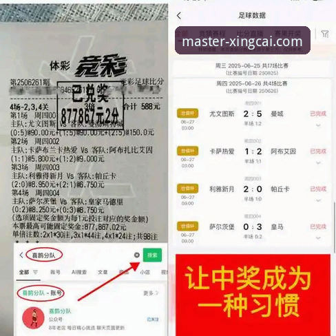 杏彩体育平台可靠吗？一份深度评测与新手避坑指南